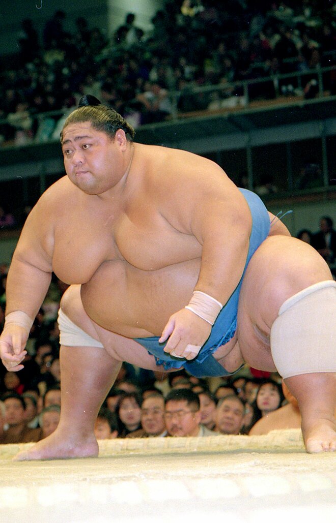 現役時代の小錦　（8/8）