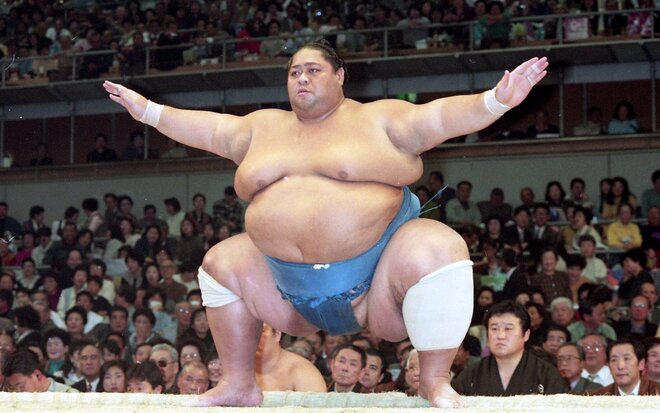 現役時代の小錦　（7/8）