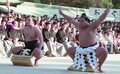 ｢体力の限界…｣日本中が涙したウルフの引退から30余年。伝説の横綱・千代の…