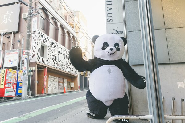 アンドレザ・ジャイアントパンダ